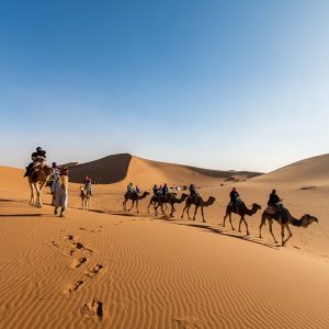 Desert Adventures